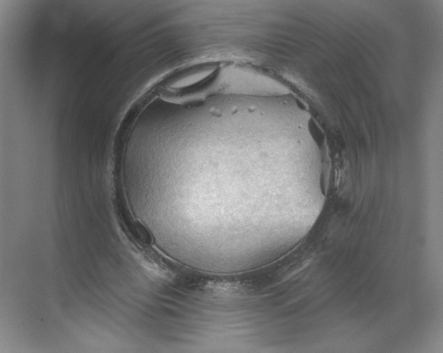 X0000068820440200605191837