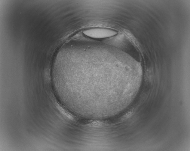 X0000068820441200605191837