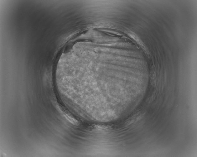 X0000068820442200605191837