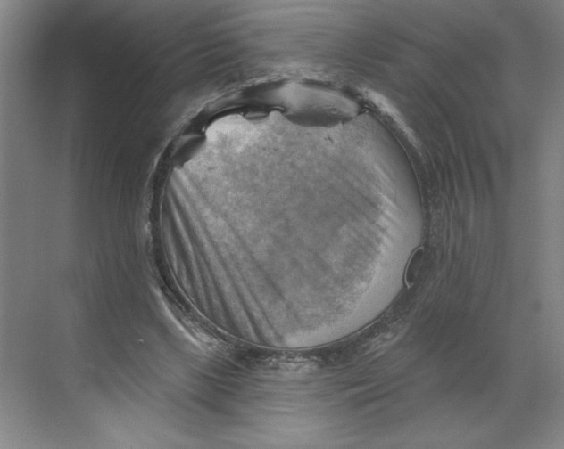 X0000068820443200605191837