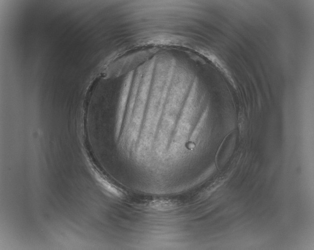 X0000068820445200605191837