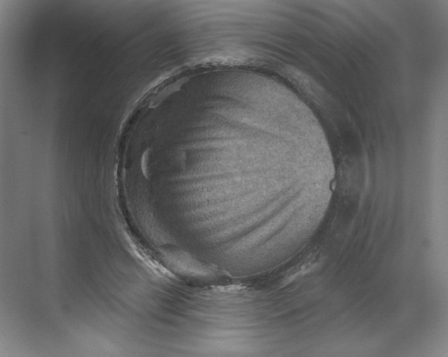 X0000068820446200605191837