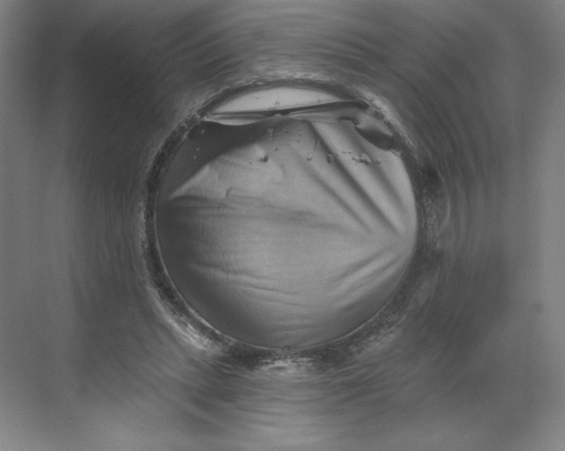 X0000068820447200605191837