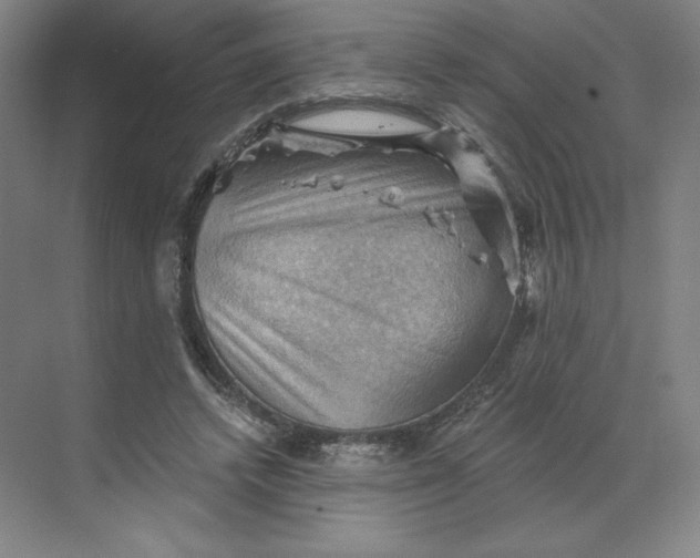 X0000068820448200605191837