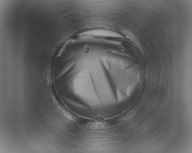 X0000068820449200605191837