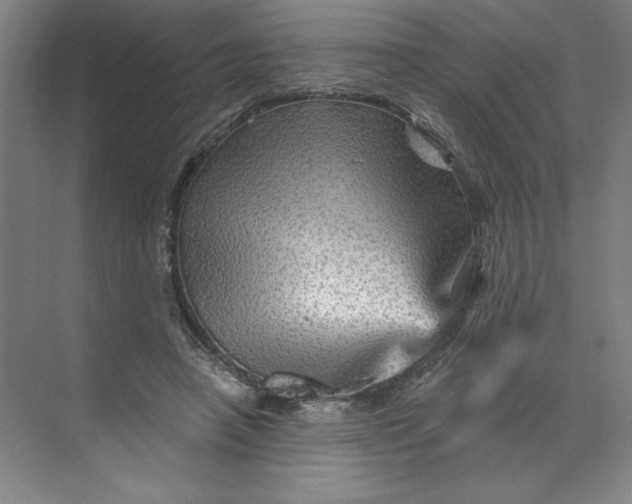 X0000068820450200605191837