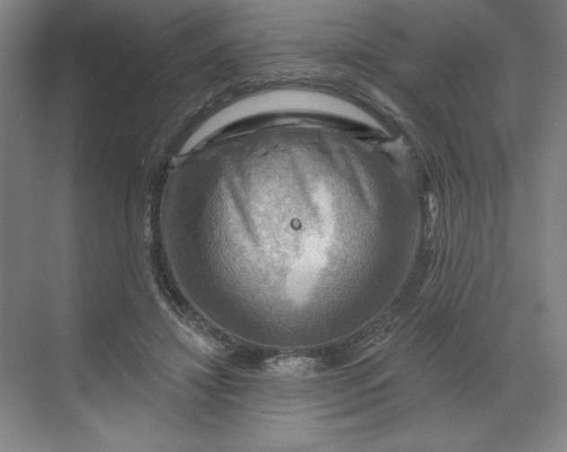 X0000068820452200605191837