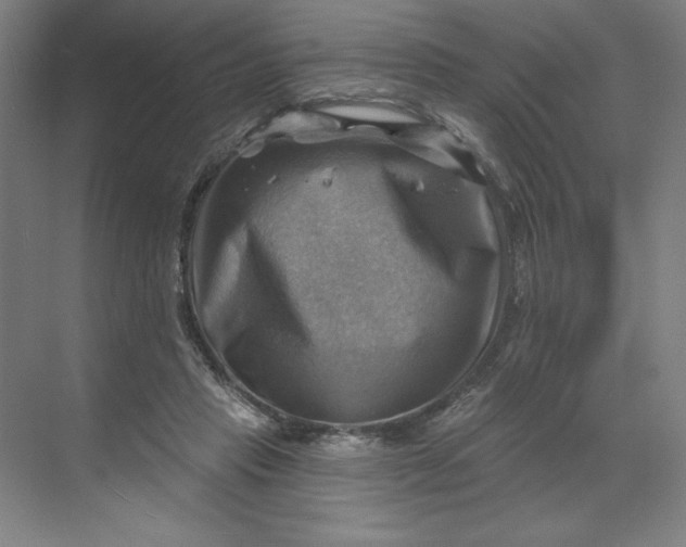 X0000068820453200605191837