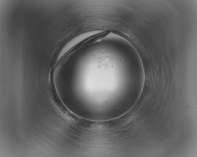 X0000068820454200605191837