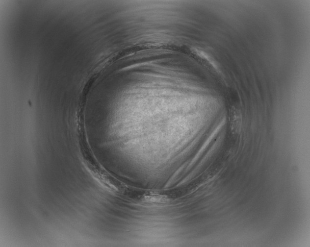 X0000068820455200605191837