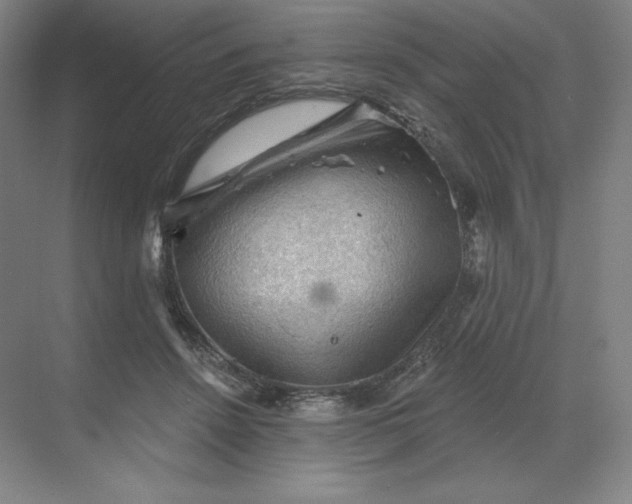 X0000068820456200605191837