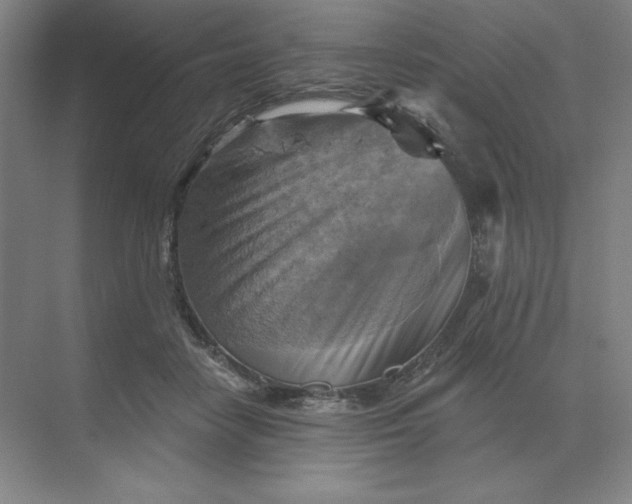 X0000068820458200605191837