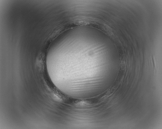 X0000068820460200605191837