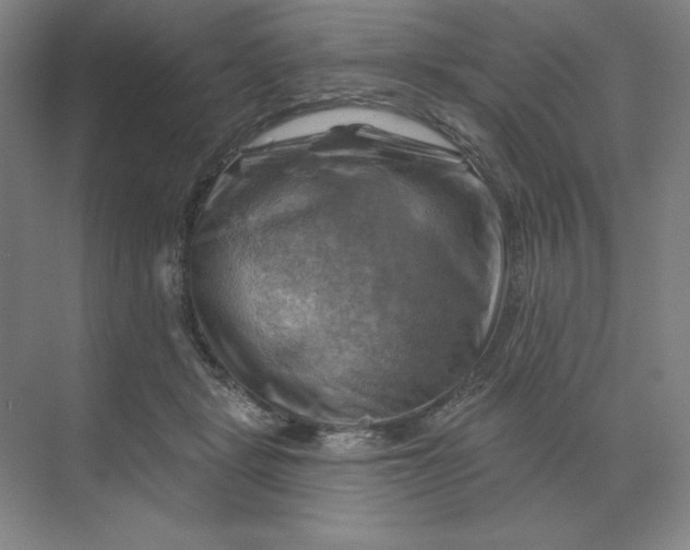 X0000068820461200605191837