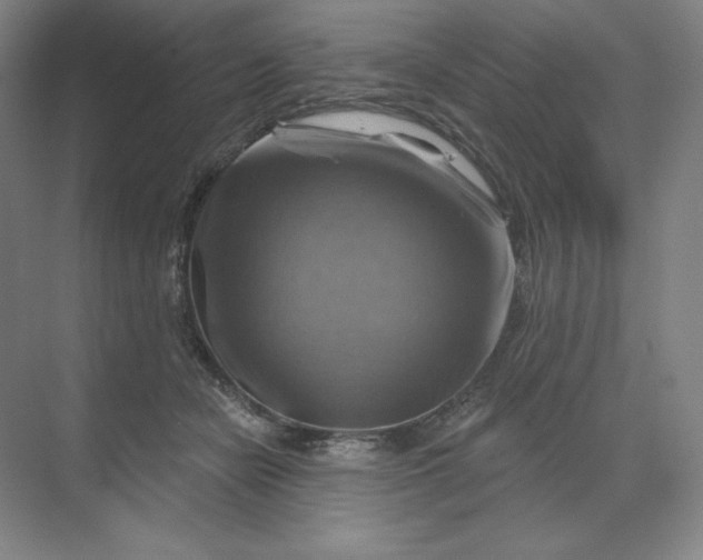 X0000068820462200605191837