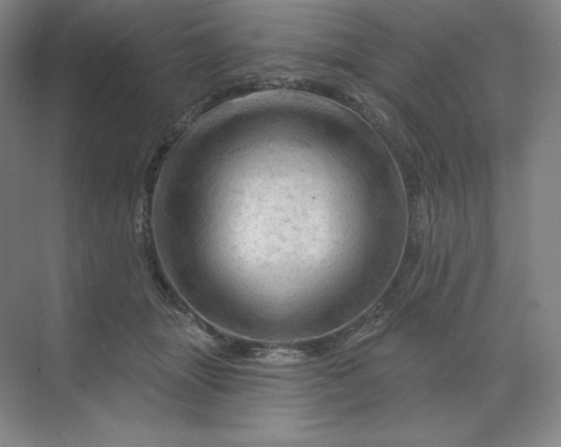 X0000068820463200605191837