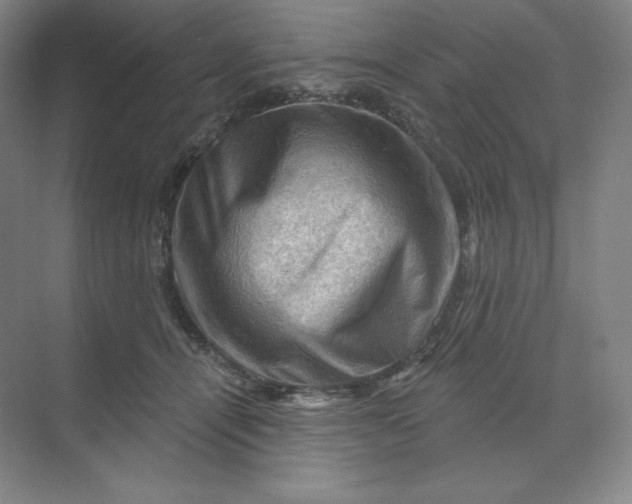 X0000068820464200605191837