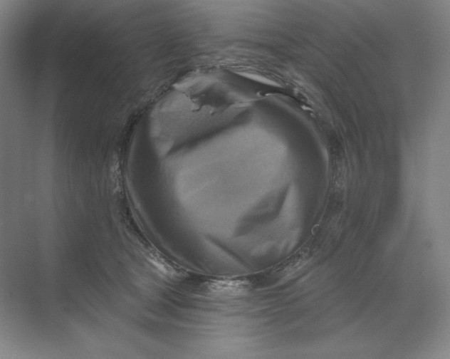 X0000068820465200605191837