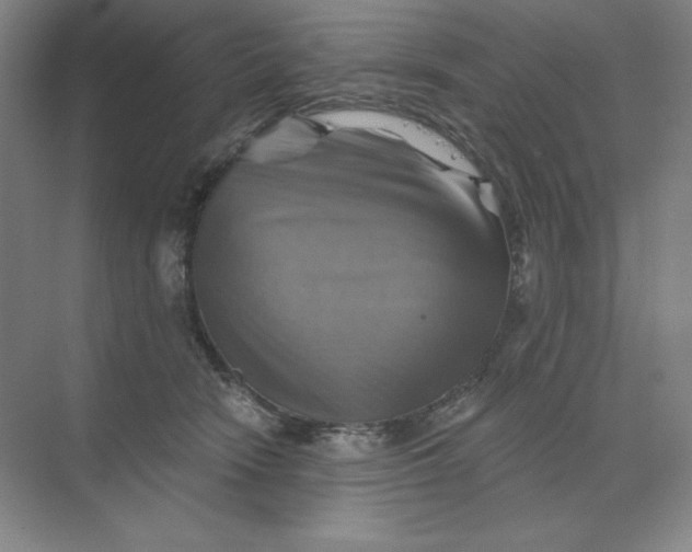 X0000068820466200605191838