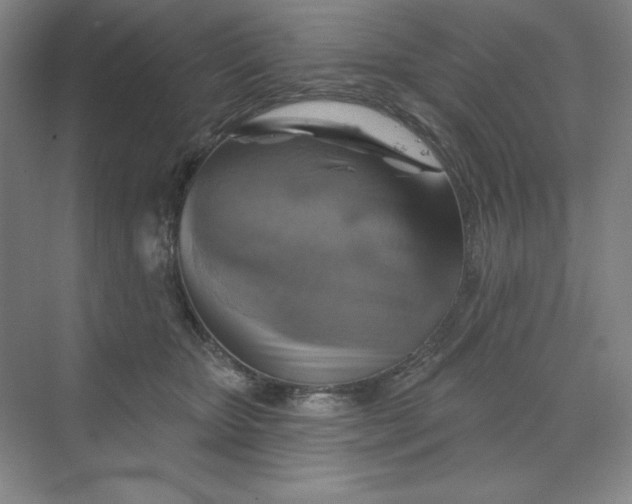 X0000068820467200605191838