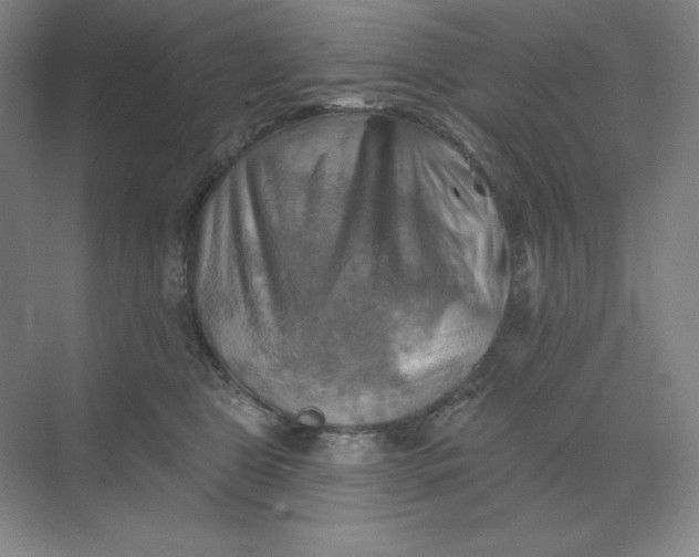 X0000068820469200605191838