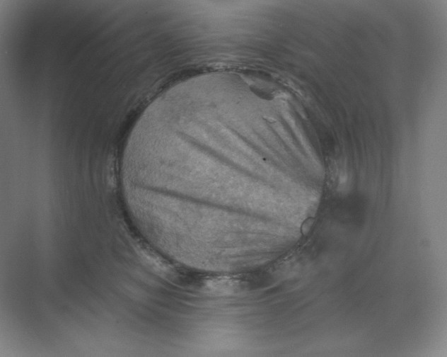 X0000068820470200605191838