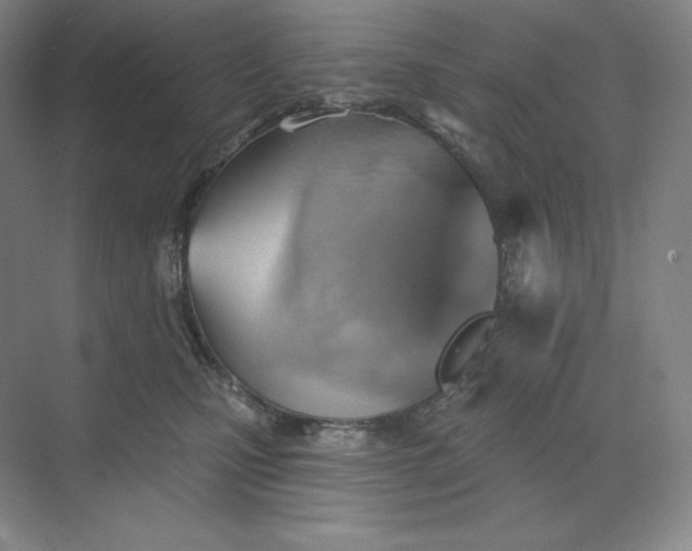 X0000068820471200605191838