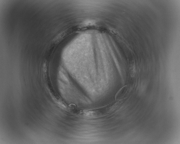 X0000068820472200605191838