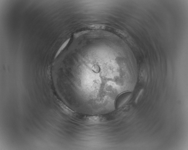 X0000068820473200605191838