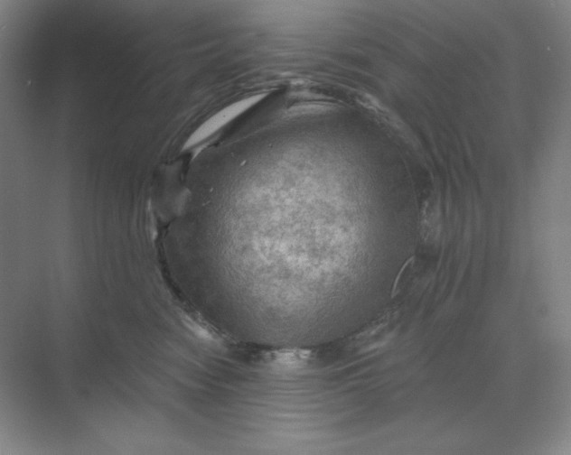 X0000068820474200605191838