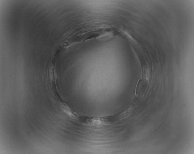 X0000068820475200605191838