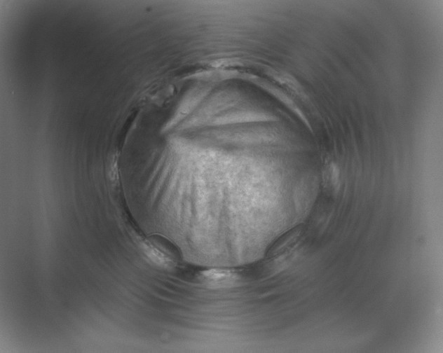 X0000068820477200605191838