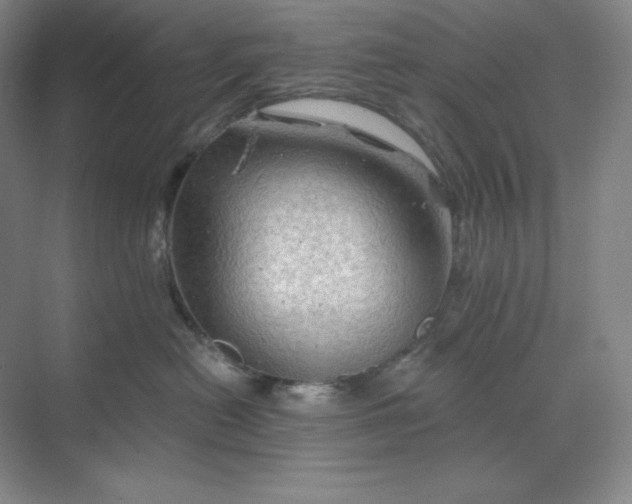 X0000068820478200605191838