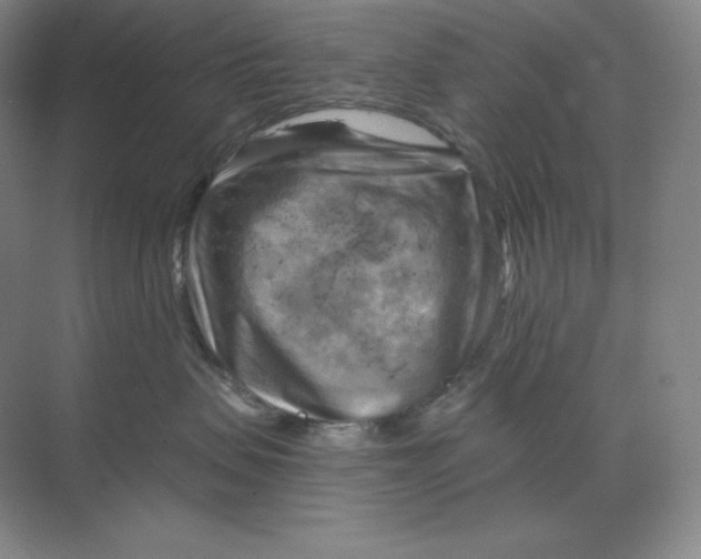 X0000068820479200605191838