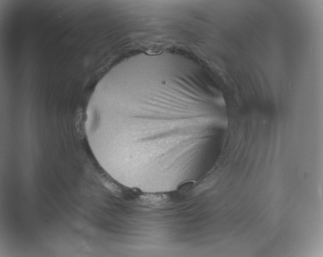 X0000068820480200605191838