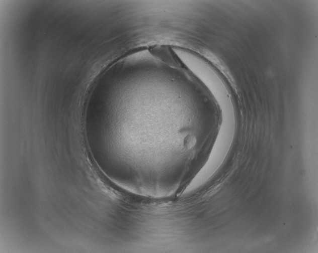 X0000068820481200605191837