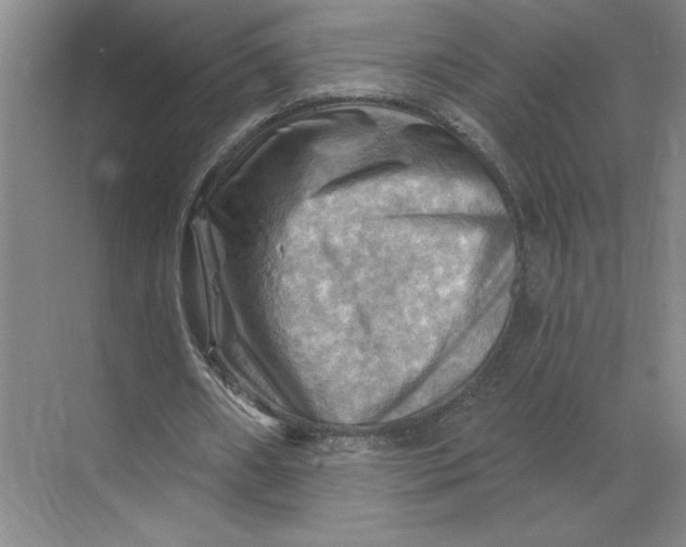 X0000068820482200605191837