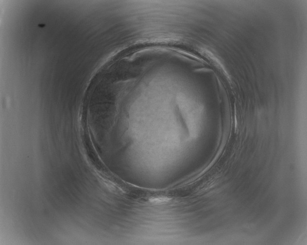 X0000068820483200605191837