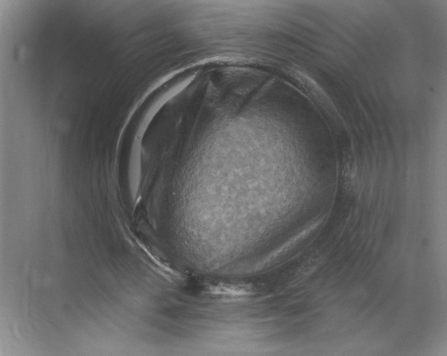 X0000068820484200605191837