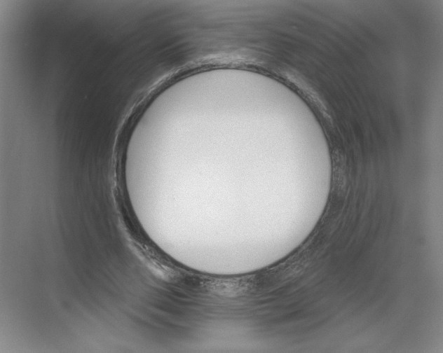 X0000068820486200605191837