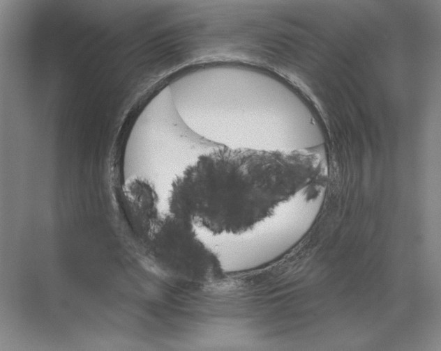 X0000068820487200605191837