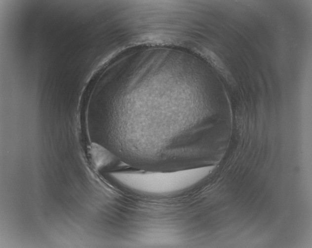 X0000068820488200605191837