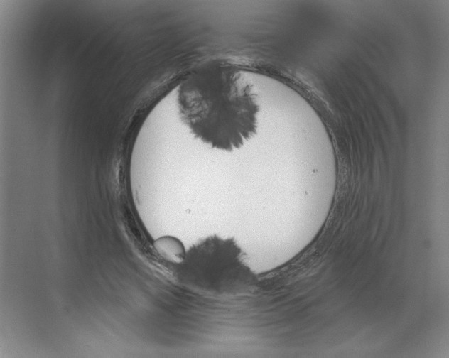 X0000068820491200605191837