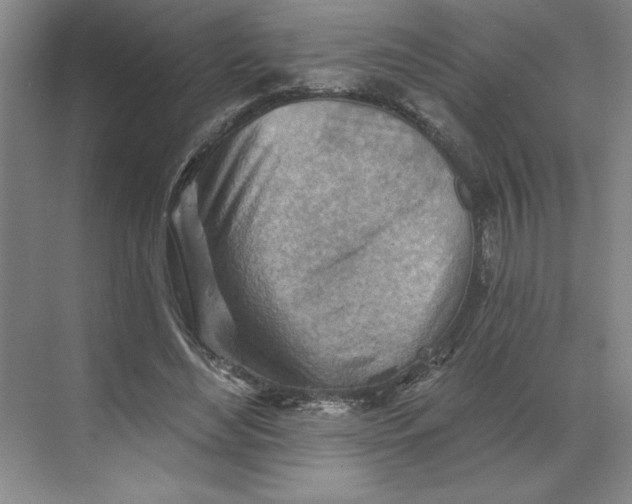 X0000068820492200605191837