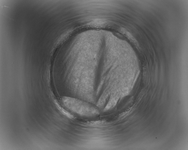 X0000068820493200605191837