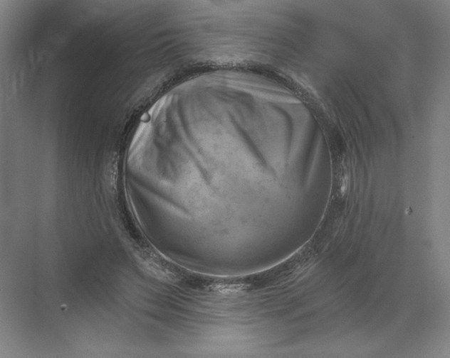 X0000068820495200605191837