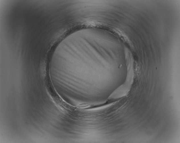 X0000068820496200605191837