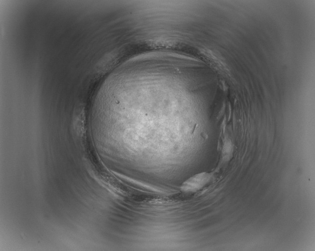 X0000068820498200605191837