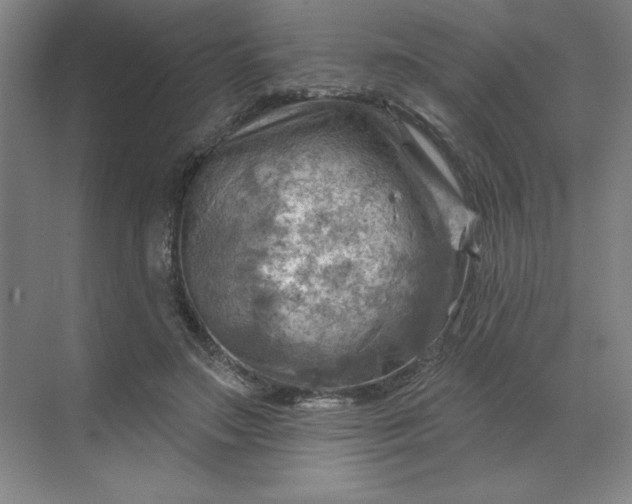 X0000068820499200605191837