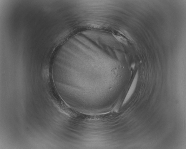 X0000068820500200605191837